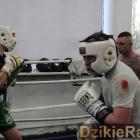 Fotka nr 1 z 15