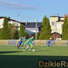 zdjęcie nr 15