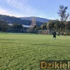 zdjęcie nr 192