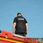 zdjęcie nr 15