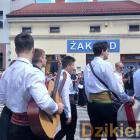 zdjęcie nr 295