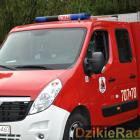 zdjęcie nr 9