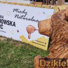 zdjęcie nr 370