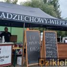 zdjęcie nr 98