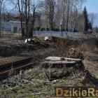 Fotka nr 5 z 15