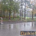 zdjęcie nr 8