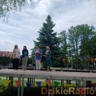 Fotka nr 4 z 67
