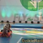 zdjęcie nr 45