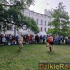 zdjęcie nr 96
