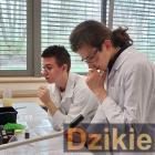 Fotka nr 1 z 9