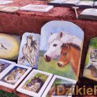 zdjęcie nr 350