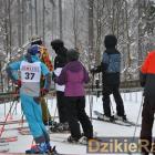 zdjęcie nr 174