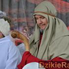 zdjęcie nr 81
