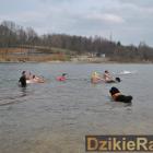 zdjęcie nr 76