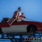 Fotka nr 5 z 9