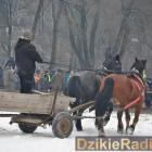 zdjęcie nr 108