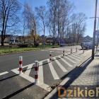 Fotka nr 2 z 8