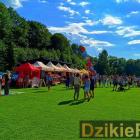 zdjęcie nr 10