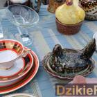 zdjęcie nr 23