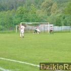 zdjęcie nr 10