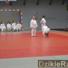 zdjęcie nr 12