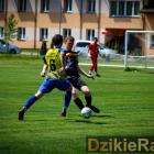 Fotka nr 0 z 12