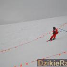 zdjęcie nr 53