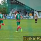 zdjęcie nr 114