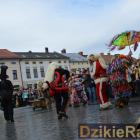 zdjęcie nr 286