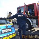 Fotka nr 3 z 74