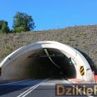 Fot. Dzikieradio®