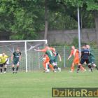 zdjęcie nr 230