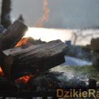 zdjęcie nr 212