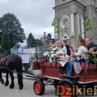 zdjęcie nr 7