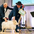 zdjęcie nr 10