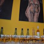 zdjęcie nr 8