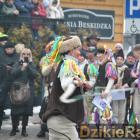 zdjęcie nr 231