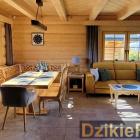 Fotka nr 4 z 8