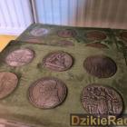 zdjęcie nr 10