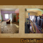 zdjęcie nr 46
