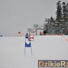 Fotka nr 3 z 274