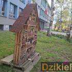 Fotka nr 1 z 3
