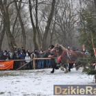 zdjęcie nr 99