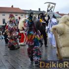 zdjęcie nr 280