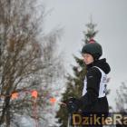 zdjęcie nr 101
