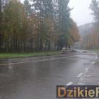 Fotka nr 0 z 8