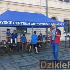 zdjęcie nr 32