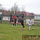 zdjęcie nr 221