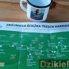 zdjęcie nr 194