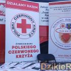zdjęcie nr 10